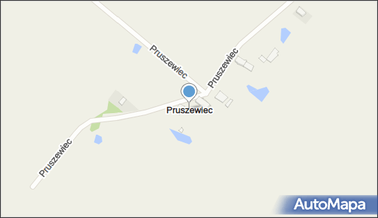 Pruszewiec, Pruszewiec - Inne