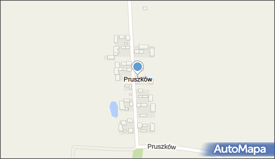 Pruszków (powiat skierniewicki), Pruszków - Inne