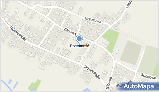 Przedmość, Przedmość - Inne