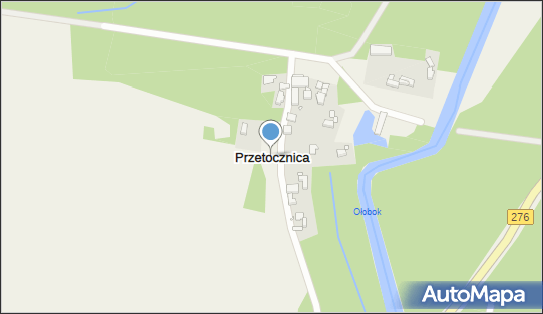 Przetocznica, Przetocznica - Inne