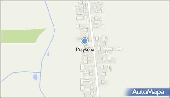 Przykona, Przykona - Inne