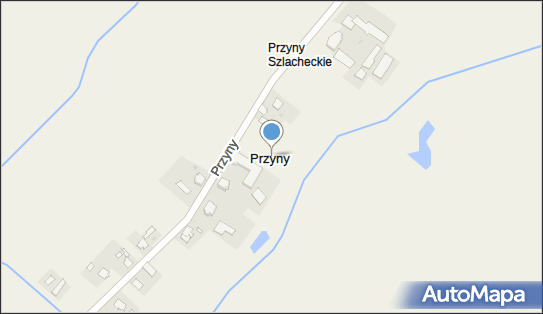 Przyny, Przyny - Inne