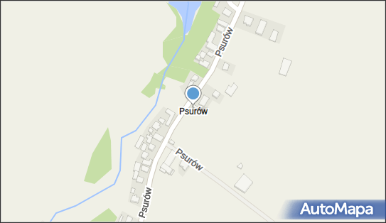 Psurów, Psurów - Inne