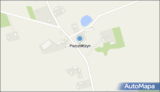 Pszczółczyn (województwo kujawsko-pomorskie), Pszczółczyn - Inne