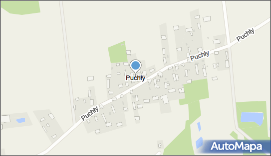 Puchły, Puchły - Inne