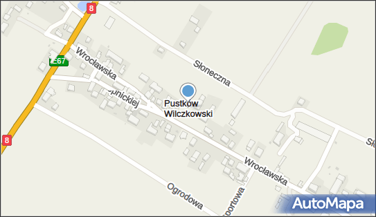 Pustków Wilczkowski, Pustków Wilczkowski - Inne