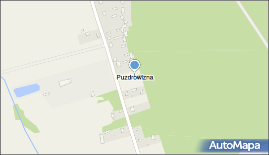 Puzdrowizna, Puzdrowizna - Inne