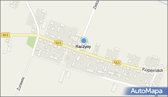 Raczyny (powiat żuromiński), Raczyny - Inne