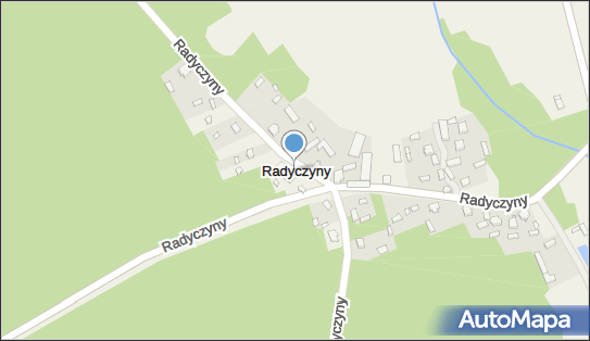 Radyczyny, Radyczyny - Inne