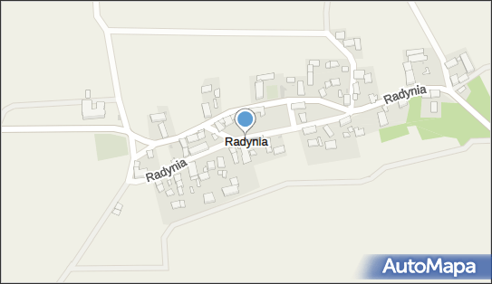 Radynia, Radynia - Inne