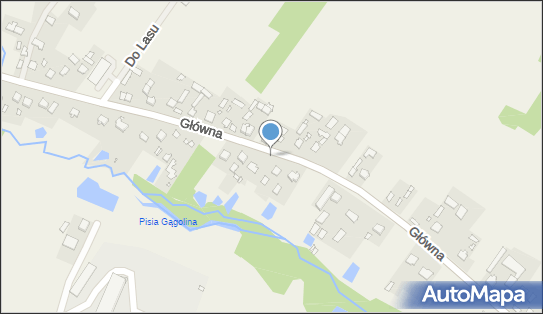 Radziejowice, Główna, Radziejowice 96-325 - Inne