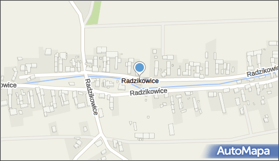 Radzikowice, Radzikowice - Inne