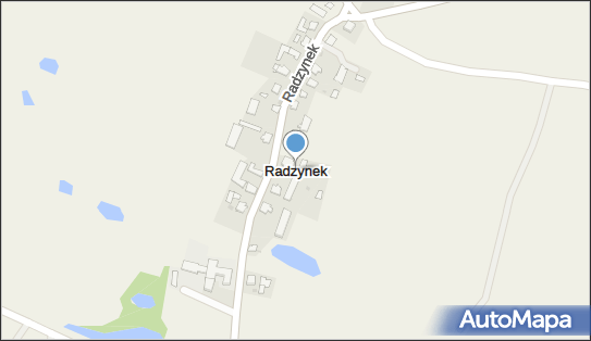 Radzynek, Radzynek - Inne