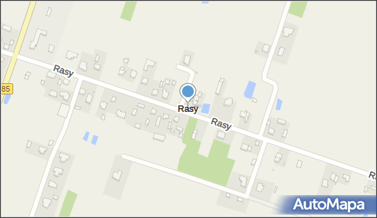 Rasy, Rasy - Inne