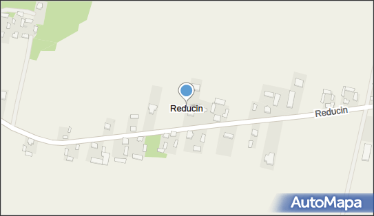 Reducin, Reducin - Inne