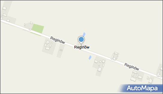 Reginów, Reginów - Inne