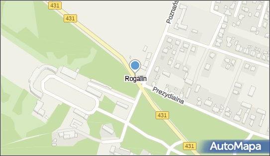 Rogalin, Rogalin - Inne