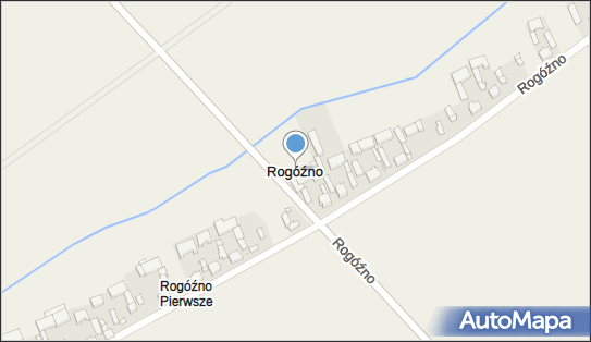 Rogóźno (powiat łowicki), Rogóźno - Inne