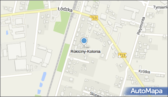 Rokiciny-Kolonia, Rokiciny-Kolonia - Inne