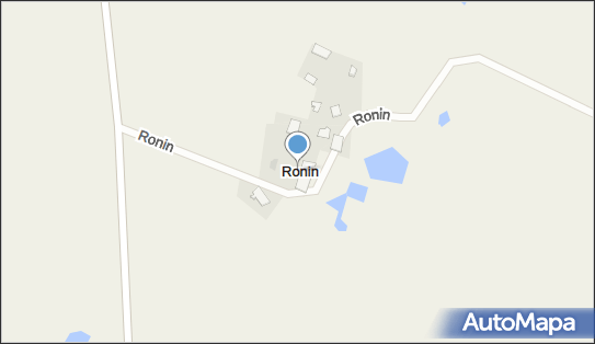 Ronin (wieś), Ronin - Inne