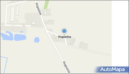 Ropocice, Ropocice - Inne