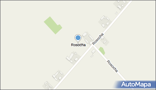 Rosocha (powiat kolski), Rosocha - Inne