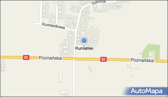 Rumianek (województwo wielkopolskie), Rumianek - Inne