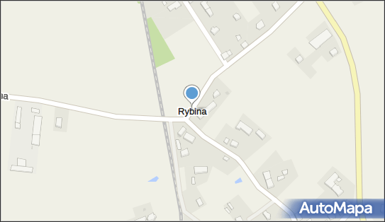 Rybina, Rybina - Inne