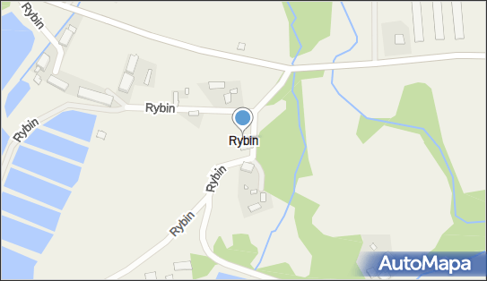 Rybin, Rybin - Inne