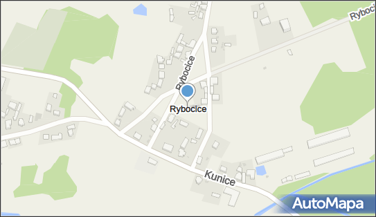 Rybocice, Rybocice - Inne