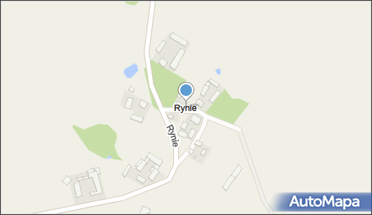 Rynie, Rynie - Inne