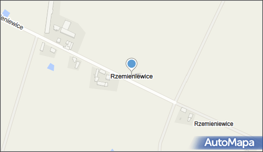 Rzemieniewice, Rzemieniewice - Inne