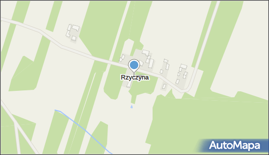 Rzyczyna, Rzyczyna - Inne