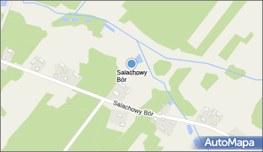 Salachowy Bór, Salachowy Bór - Inne