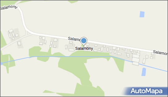 Salamony (województwo łódzkie), Salamony - Inne