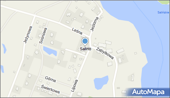 Salino, Salino - Inne