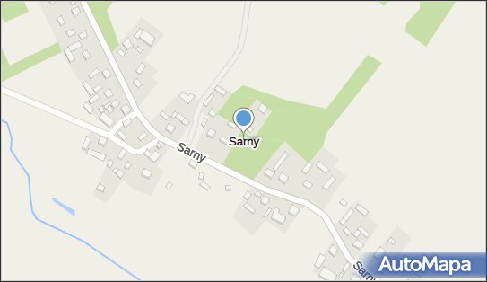 Sarny (województwo łódzkie), Sarny - Inne