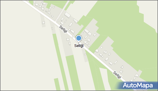 Seligi, Seligi - Inne