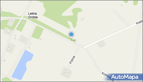 Siedleczek, Polna, Leśna Grobla 62-024 - Inne