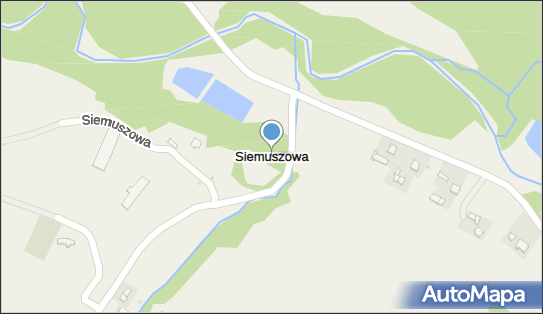 Siemuszowa, Siemuszowa - Inne