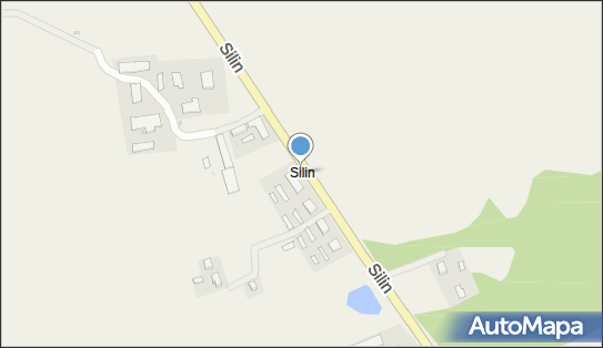 Silin, Silin - Inne