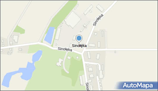 Sinołęka, Sinołęka - Inne