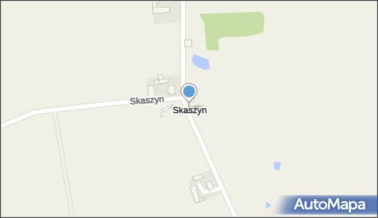 Skaszyn, Skaszyn - Inne