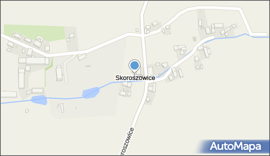 Skoroszowice, Skoroszowice - Inne