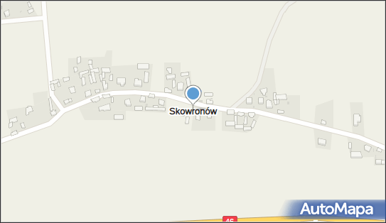 Skowronów, Skowronów - Inne