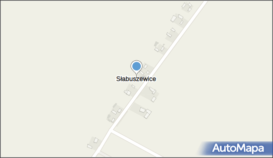 Słabuszewice, Słabuszewice - Inne