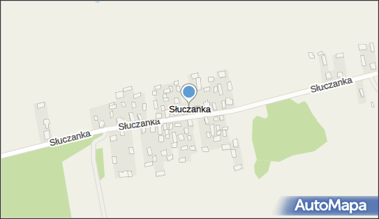 Słuczanka, Słuczanka - Inne