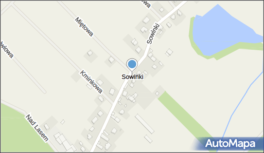 Sowinki, Sowinki - Inne