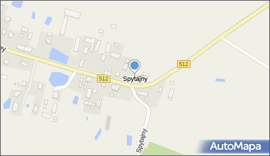 Spytajny, Spytajny - Inne