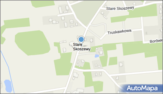 Stare Skoszewy, Stare Skoszewy - Inne